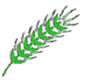 BLE.GIF (2252 octets)