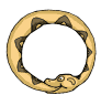 SERPEN2.GIF (10843 octets)