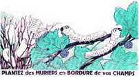 affiche_1942_ministere_fr.jpg (5522 octets)