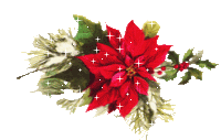 fleur noel a.gif (13101 octets)
