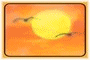 soleilmouette.gif (27407 octets)