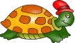 tortue bouton.gif (5029 octets)