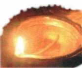 lumiere_mandarine.jpg (3109 octets)