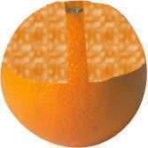 mandarine coté.jpg (3479 octets)
