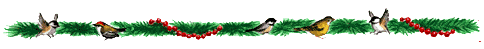 oiseauxBAR.GIF (5611 octets)